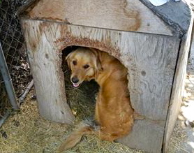 1017042_4127229394300_3276770814782655157_n