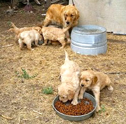 10418406_4249710736257_1604200888131500221_n