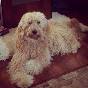 10553625_4457738336817_8400781885958362772_n